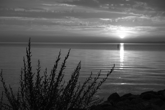 Lever de soleil sur le lac de Neuchâtel - 018